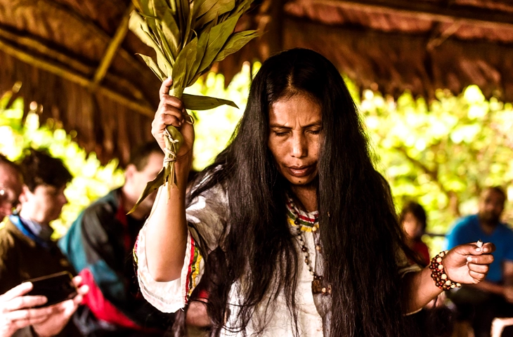 Beneficios de la Ayahuasca Guía, Intención y Retiros
