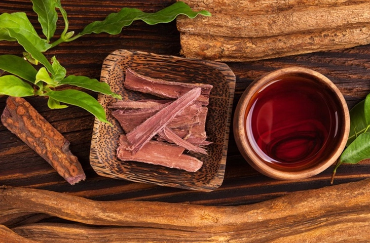 Beneficios de la Ayahuasca Guía, Intención y Retiros