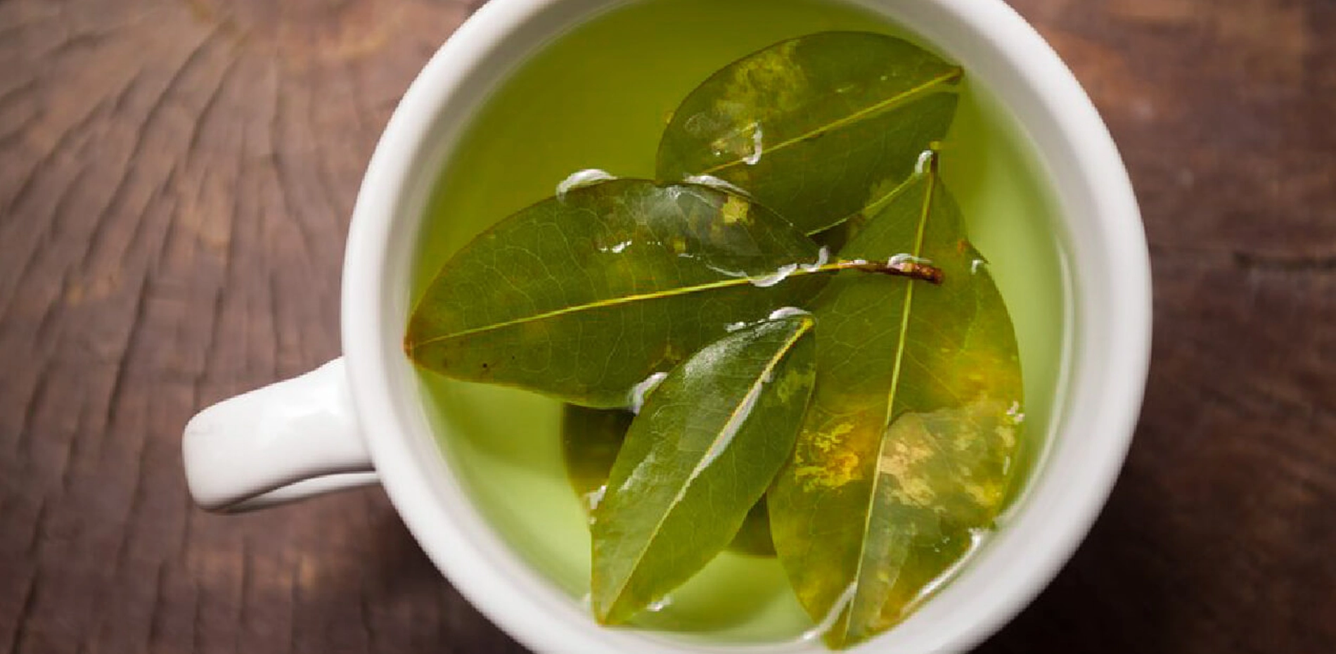 hoja de coca hoja de coca