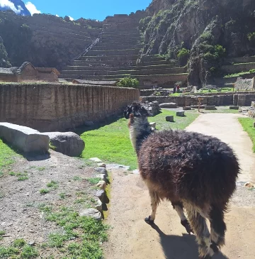 Agencia de viajes en Cusco tours en Cusco tours en Peru Machu Picchu Valle Sagrado Laguna Humantay Montaña de Colores y experiencias espirituales andinas